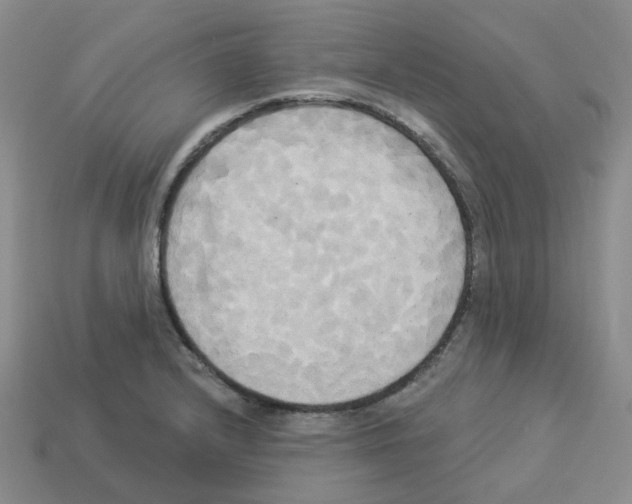 X0000112821232200910021155