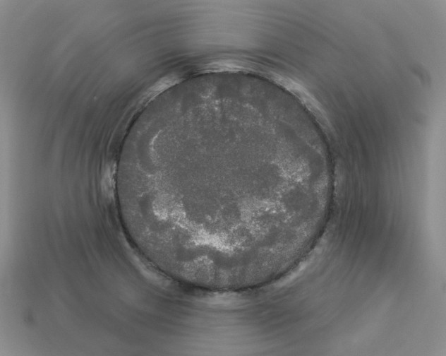 X0000112821233200910021155