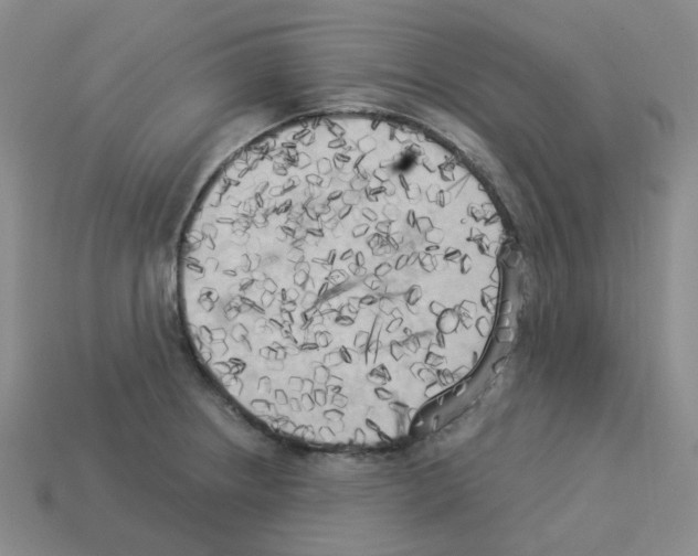 X0000112821234200910021155