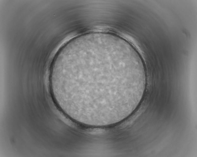 X0000112821235200910021155