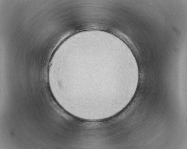 X0000112821236200910021155