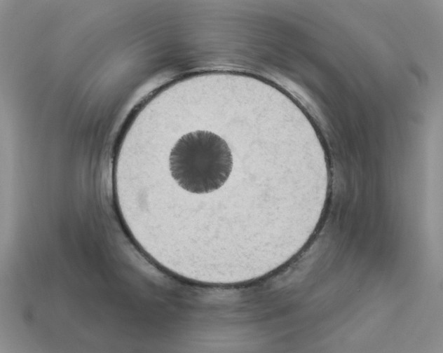 X0000112821238200910021155