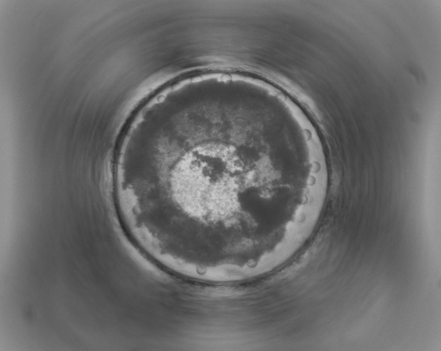 X0000112821239200910021155