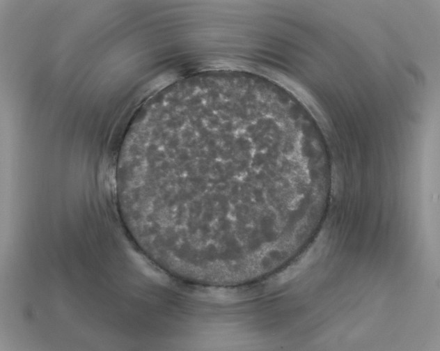 X0000112821241200910021155