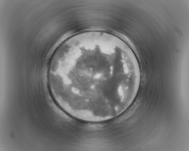 X0000112821243200910021155