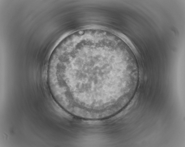 X0000112821244200910021155