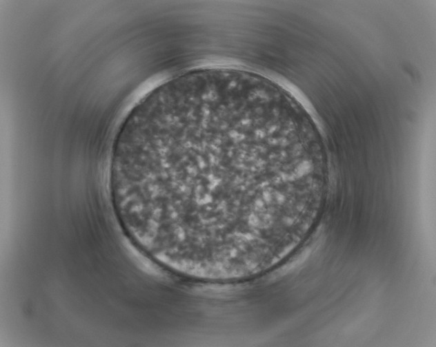 X0000112821245200910021155