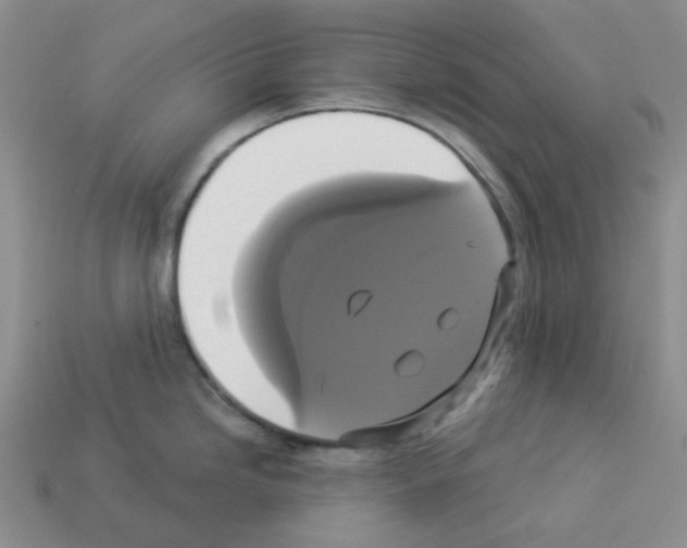 X0000112821246200910021155