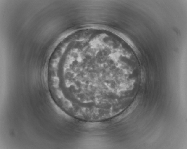 X0000112821247200910021155