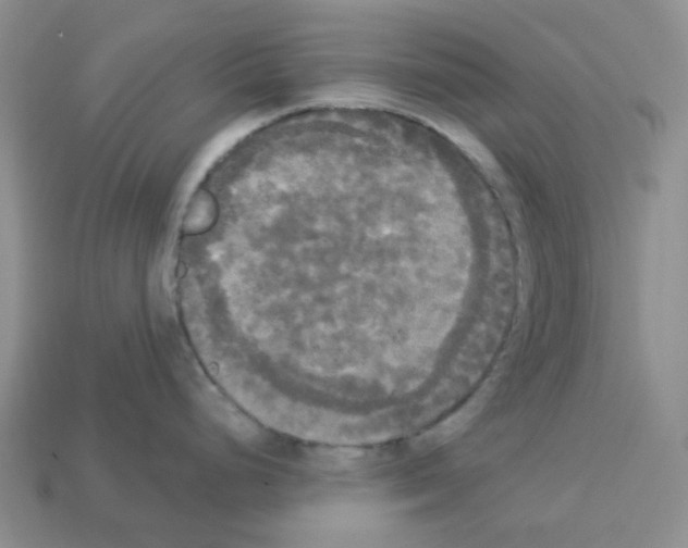 X0000112821248200910021155