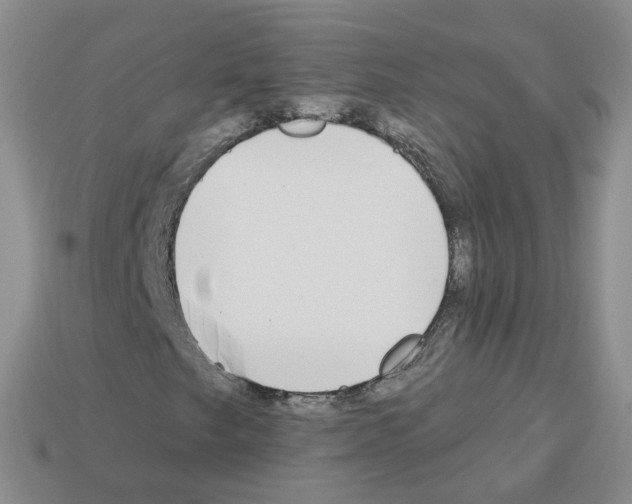 X0000112821249200910021154