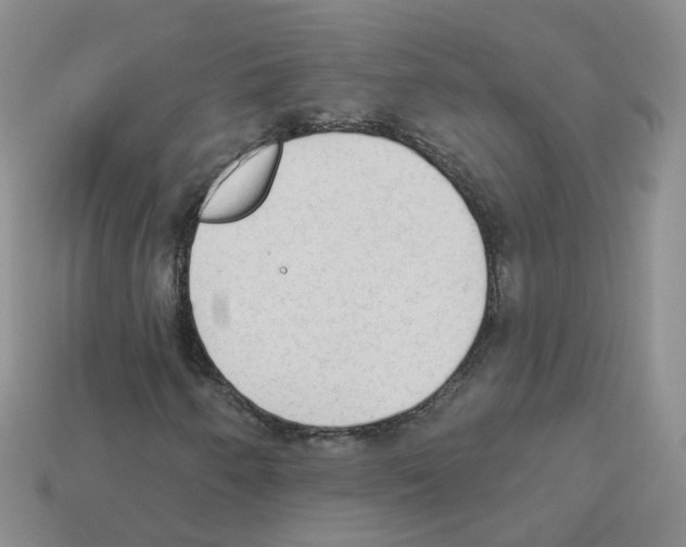 X0000112821250200910021154