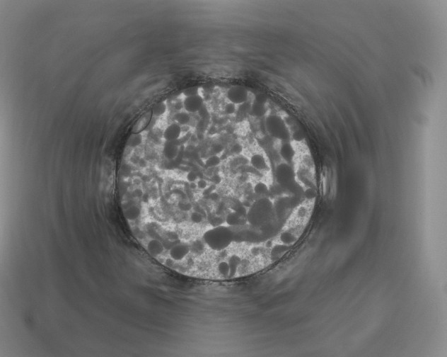 X0000112821251200910021154