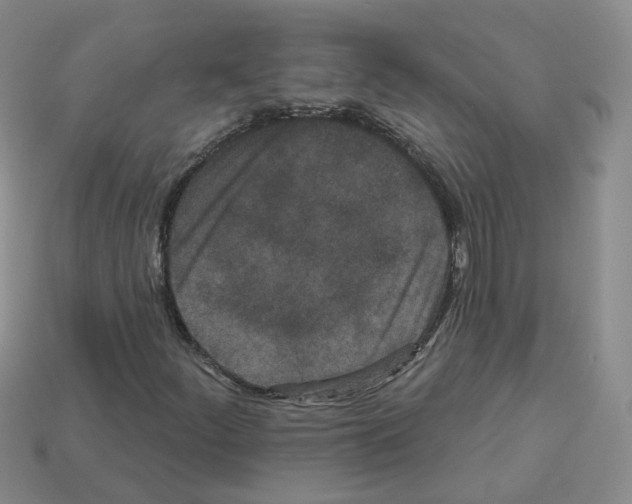 X0000112821252200910021154