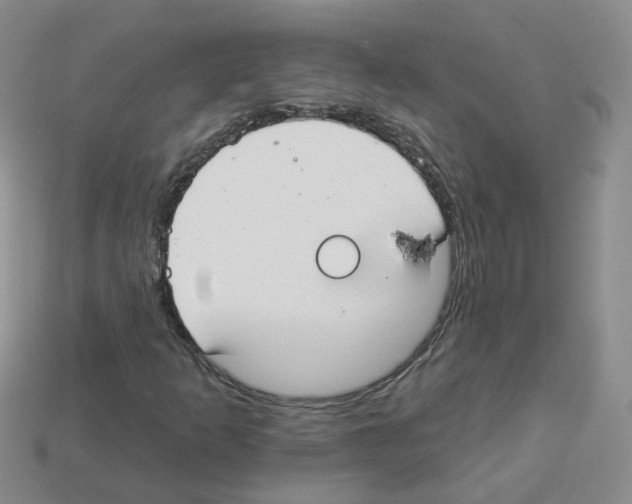 X0000112821253200910021154