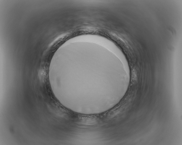 X0000112821254200910021154