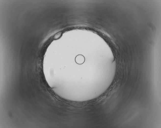 X0000112821255200910021154