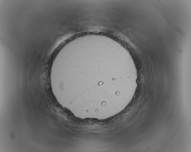 X0000112821256200910021154