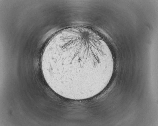 X0000112821259200910021154