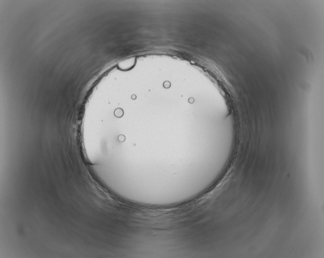 X0000112821260200910021154