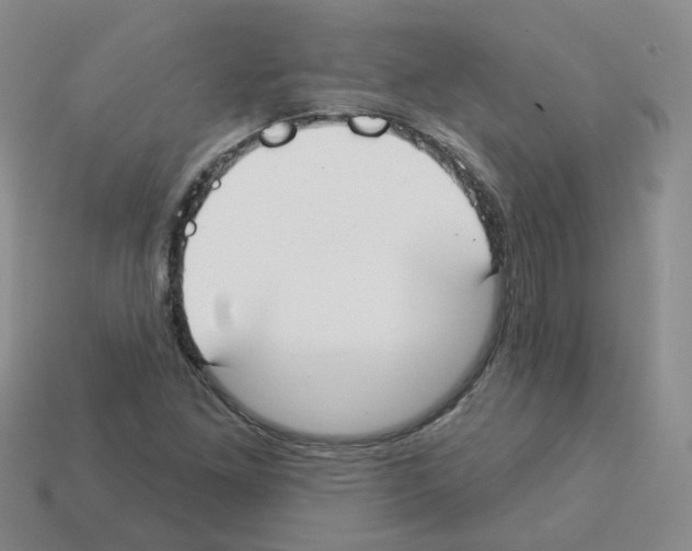 X0000112821261200910021154