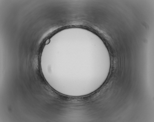 X0000112821262200910021154