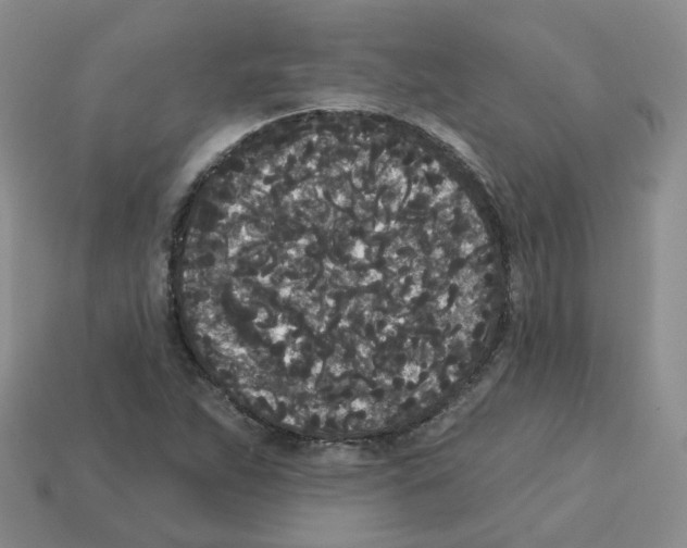 X0000112821263200910021154