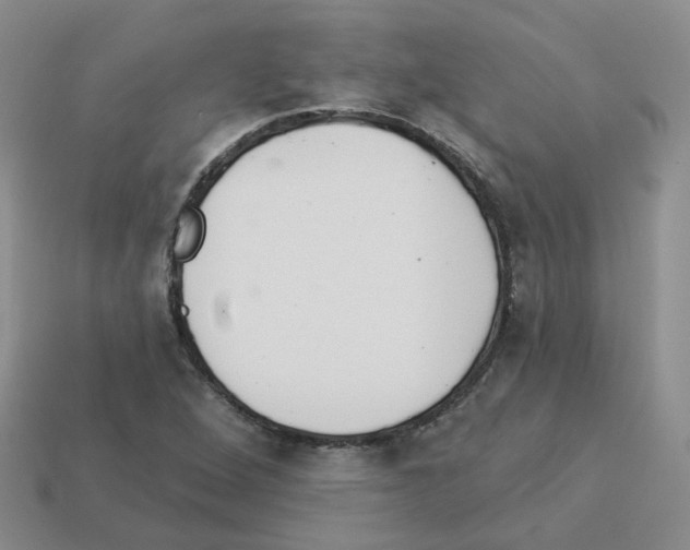 X0000112821264200910021154