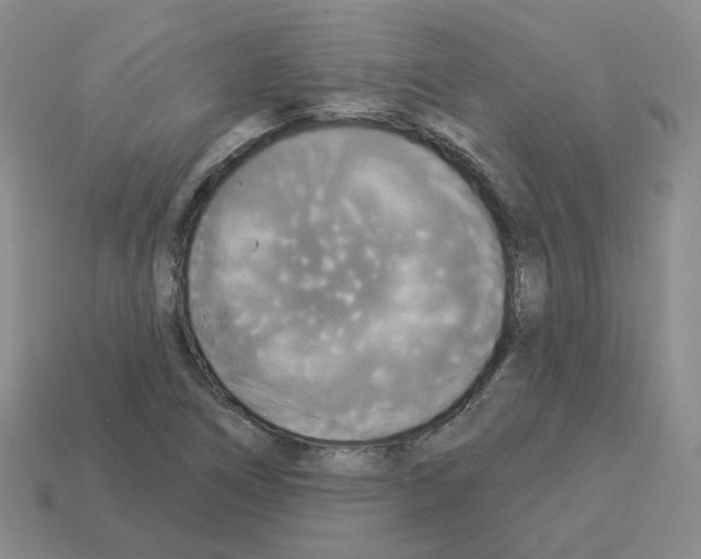 X0000112821266200910021154