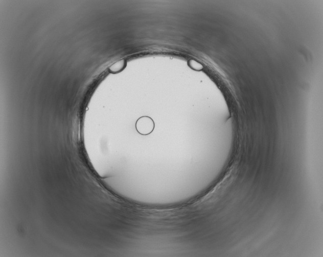 X0000112821269200910021154