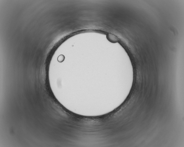 X0000112821270200910021154