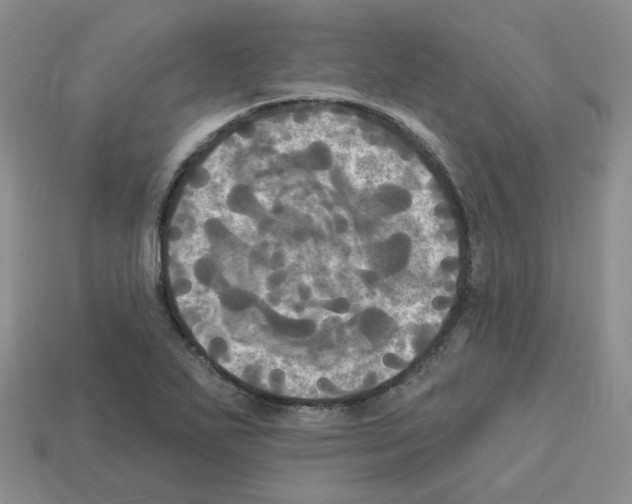 X0000112821271200910021154