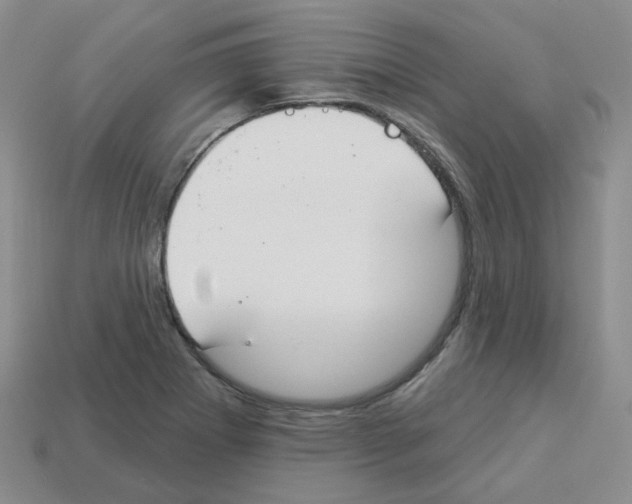 X0000112821273200910021154