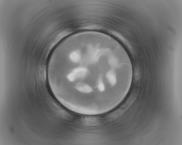 X0000112821274200910021154