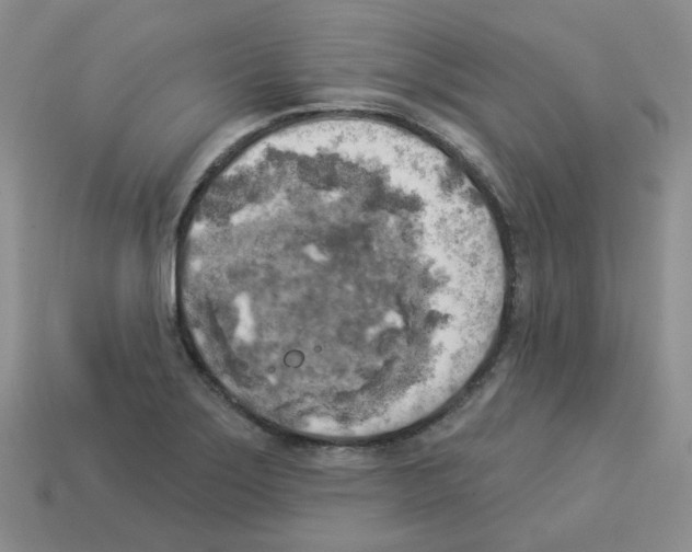 X0000112821275200910021154