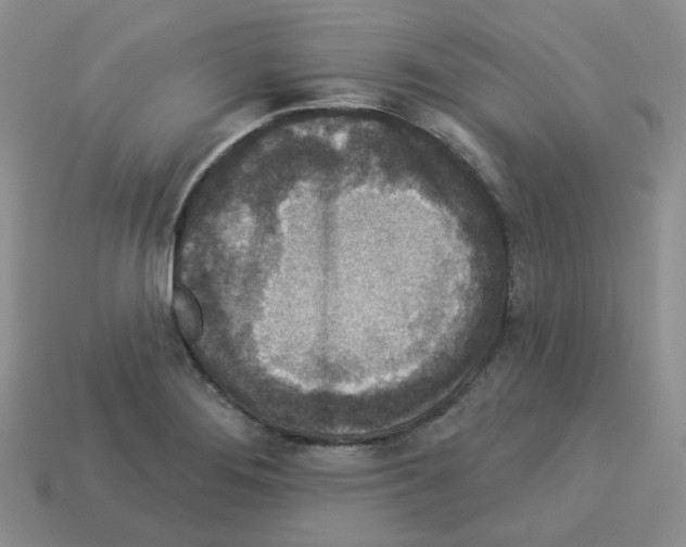 X0000112821276200910021154