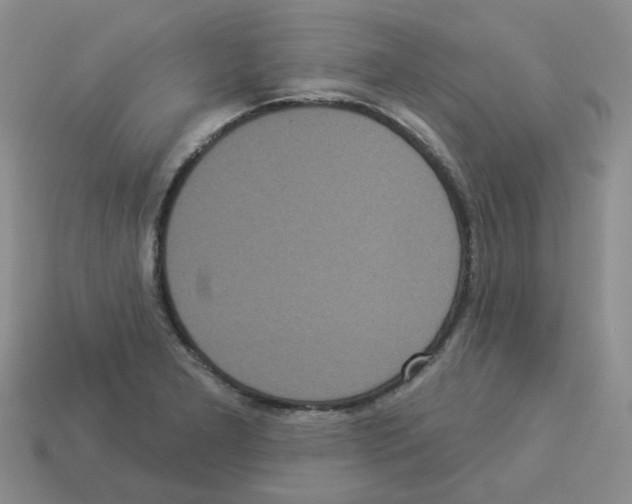 X0000112821277200910021154