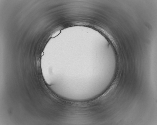 X0000112821281200910021154