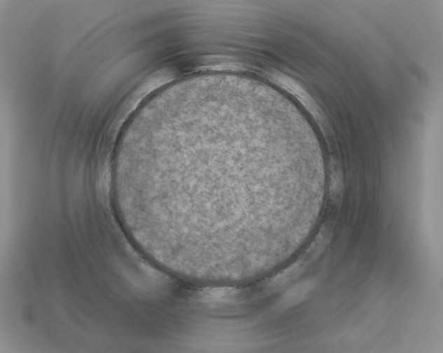 X0000112821282200910021154