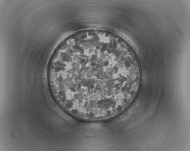 X0000112821283200910021154