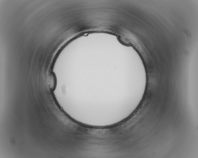 X0000112821284200910021154