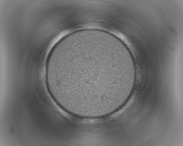 X0000112821286200910021154