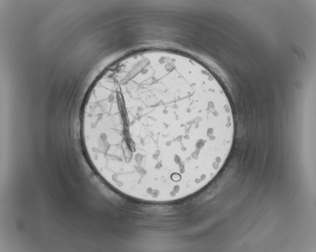 X0000112821287200910021154