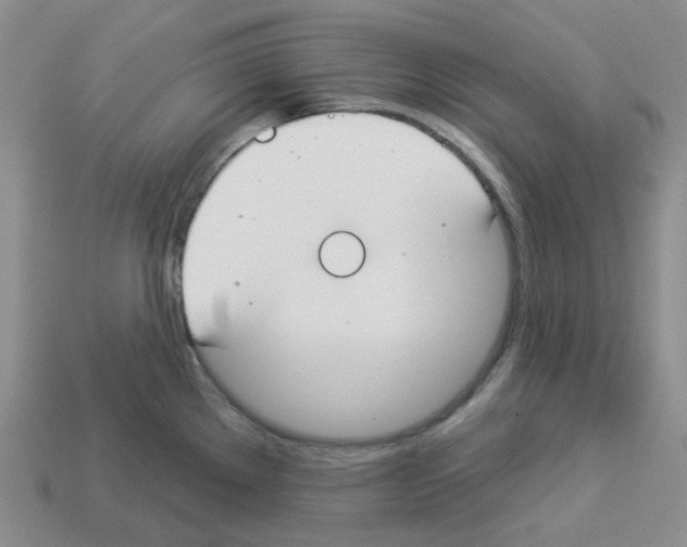 X0000112821289200910021154