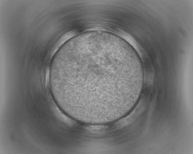 X0000112821290200910021154