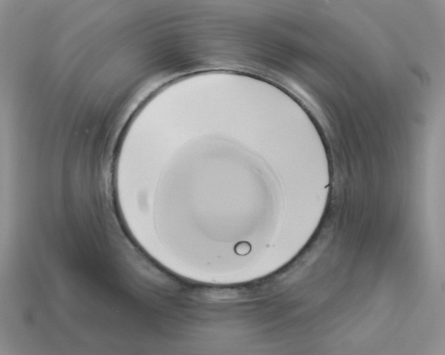 X0000112821291200910021154