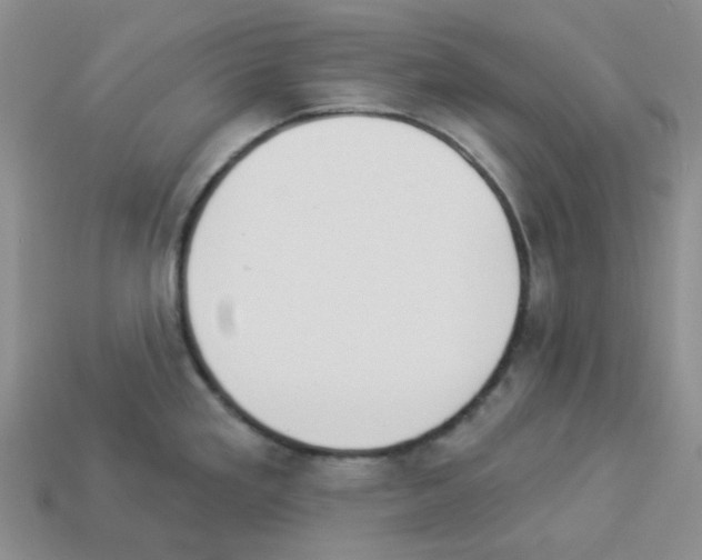 X0000112821293200910021154