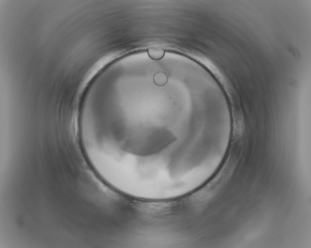 X0000112821294200910021154