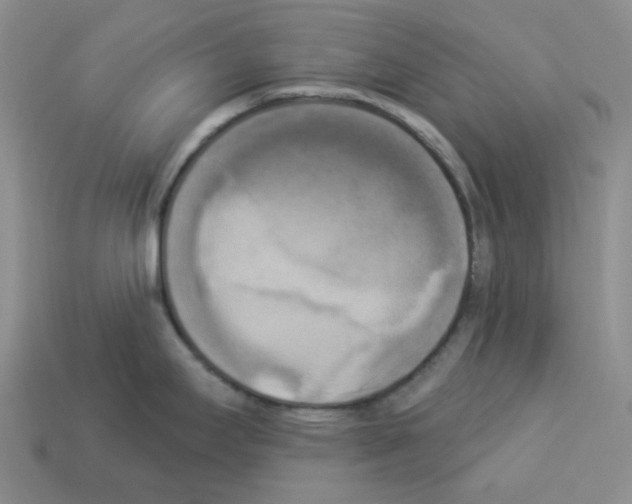 X0000112821295200910021154