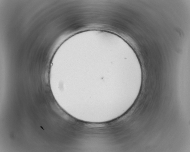 X0000112821296200910021154